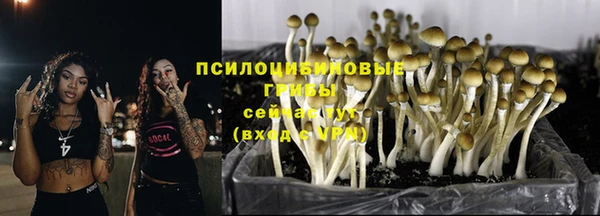 ECSTASY Майский