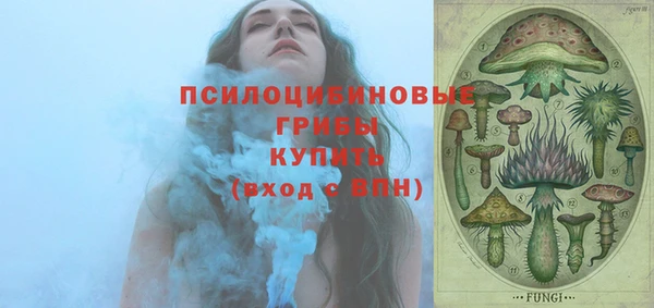 ГАЛЛЮЦИНОГЕННЫЕ ГРИБЫ Магас