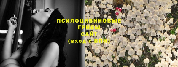spice Медногорск
