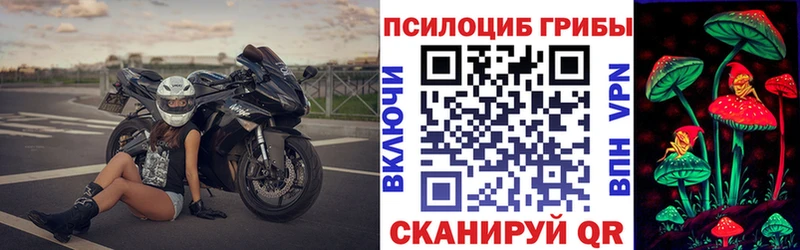 Купить Верхотурье Псилоцибиновые грибы Cubensis